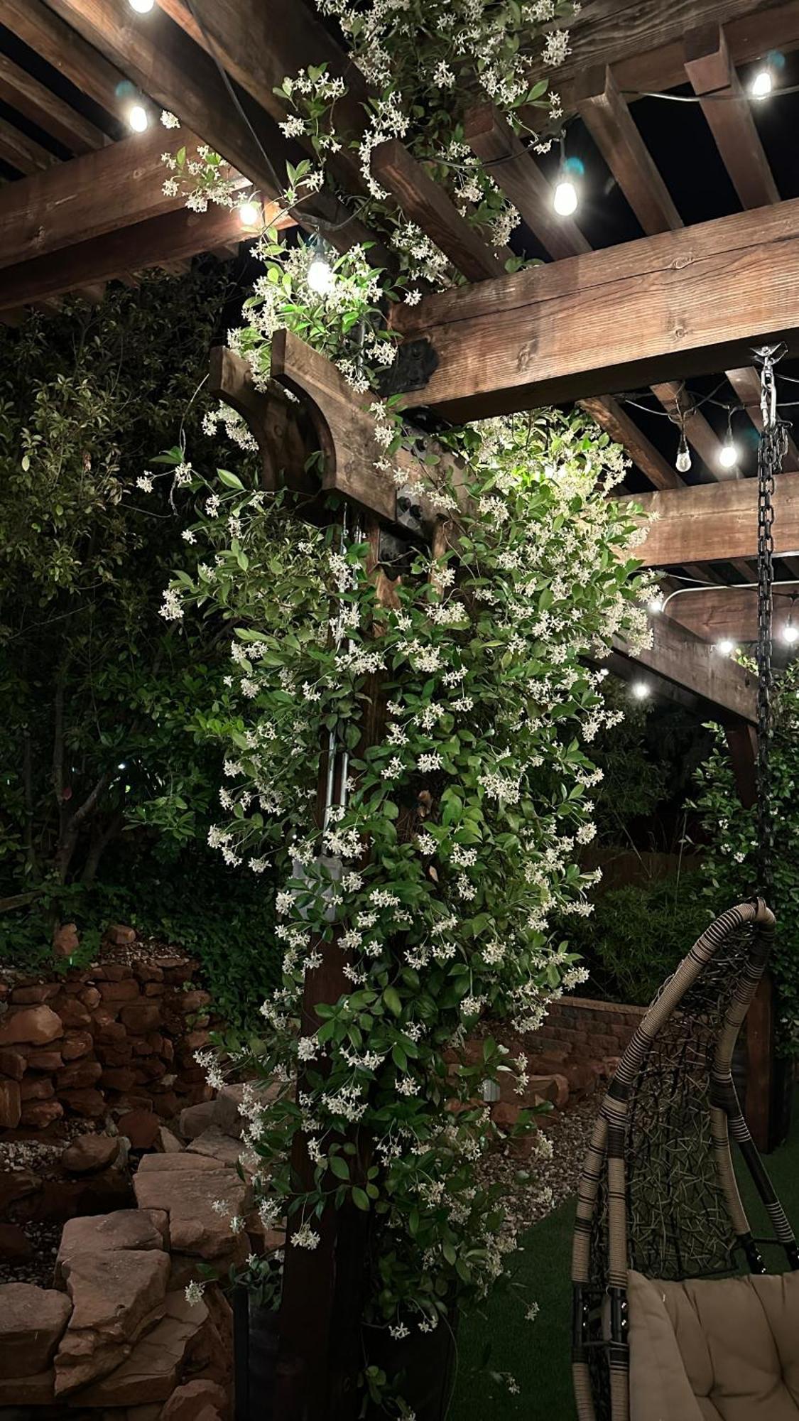 Lantern Light Inn - Romantic Getaway (Adults Only) Седона Екстериор снимка